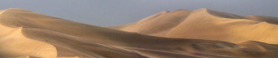 Film asia Desert Rain